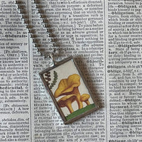 Mushroom and fungus, vintage natural history illustrations up-cycled to soldered glass pendant