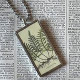 Ferns, vintage botanical illustrations, upcycled to soldered glass pendant