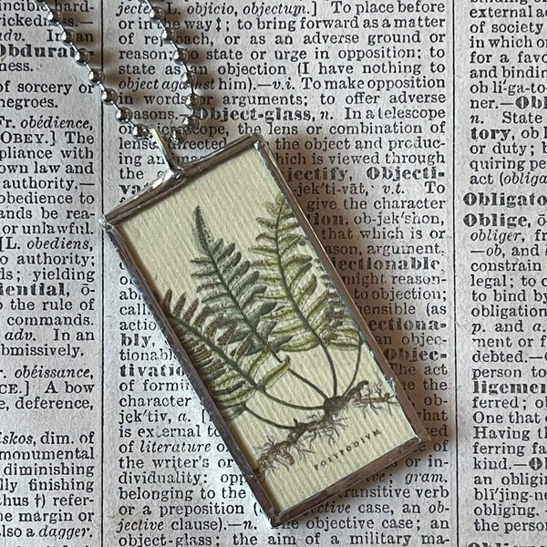 Ferns, vintage botanical illustrations, upcycled to soldered glass pendant