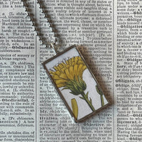 Dandelions, vintage botanical illustrations, upcycled to soldered glass pendant