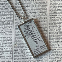 Pea Pod, vintage botanical dictionary illustration, upcycled to soldered glass pendant