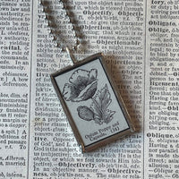 Poppy, vintage botanical dictionary illustration, upcycled to soldered glass pendant