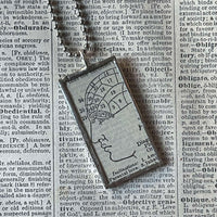 Phrenology, vintage dictionary illustrations, up-cycled to soldered glass pendant
