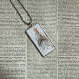 Giant squid - vintage natural history illustration up-cycled to soldered glass pendant