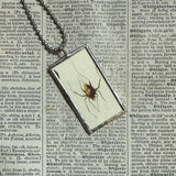 Dragonfly, spider, vintage illustrations, up-cycled to soldered glass pendant