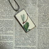 Dragonfly, spider, vintage illustrations, up-cycled to soldered glass pendant
