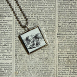 Mushroom / fungus, vintage natural history illustrations up-cycled to soldered glass pendant