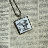 Mushroom / fungus, vintage natural history illustrations up-cycled to soldered glass pendant