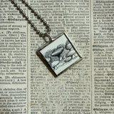 Mushroom / fungus, vintage natural history illustrations up-cycled to soldered glass pendant