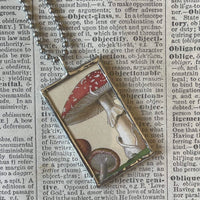 Mushroom and fungus, vintage natural history illustrations up-cycled to soldered glass pendant