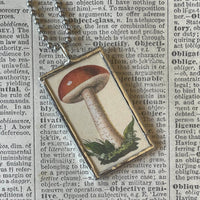 Mushroom and fungus, vintage natural history illustrations up-cycled to soldered glass pendant