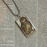 Owls, vintage illustrations, up-cycled to soldered glass pendant