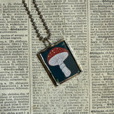 Mushroom / fungus, vintage  illustrations up-cycled to soldered glass pendant