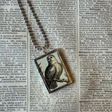 Owls, vintage illustrations, up-cycled to soldered glass pendant