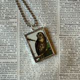 Owls, vintage illustrations, up-cycled to soldered glass pendant