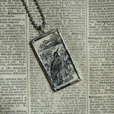 Wall Creeper bird- vintage 1930s children's book illustrations upcycled to soldered glass pendant