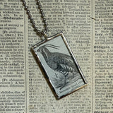 Mountain Quail vintage 1930s dictionary illustration, hand-soldered glass pendant