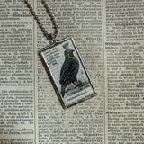 California Quail vintage 1930s dictionary illustration, hand-soldered glass pendant