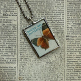 Butterfly, vintage natural history illustrations, up-cycled to soldered glass pendant