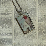 Hummingbird, currants vintage 1940s vintage field guide illustrations, up-cycled to soldered glass pendant