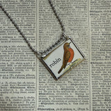 Robin bird and nest with eggs, vintage children's book illustration upcycled to soldered glass pendant