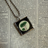 Mushroom and fungus, vintage natural history illustrations up-cycled to soldered glass pendant