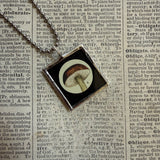 Mushroom and fungus, vintage natural history illustrations up-cycled to soldered glass pendant