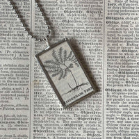 Maidenhead Fern, vintage botanical dictionary illustration, upcycled to soldered glass pendant