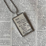 Maidenhead Fern, vintage botanical dictionary illustration, upcycled to soldered glass pendant