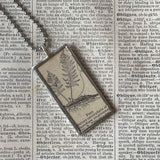Fern, vintage botanical dictionary illustration, up-cycled to soldered glass pendant