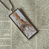 Giant Squid - vintage natural history illustration up-cycled to soldered glass pendant