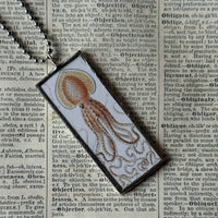 Giant Squid - vintage natural history illustration up-cycled to soldered glass pendant