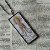 Giant Squid - vintage natural history illustration up-cycled to soldered glass pendant