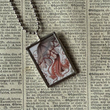 Jellyfish, squid - vintage natural history illustration up-cycled to soldered glass pendant
