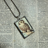 Owls, vintage illustrations, up-cycled to soldered glass pendant