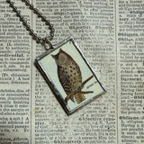 Owls, vintage illustrations, up-cycled to soldered glass pendant