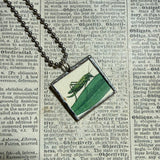 Snail, Grasshopper, vintage children's book illustrations, up-cycled to soldered glass pendant