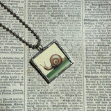 Snail, Grasshopper, vintage children's book illustrations, up-cycled to soldered glass pendant