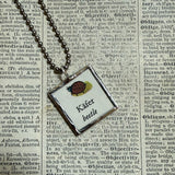 Ladybug, vintage children's book illustrations, up-cycled to soldered glass pendant