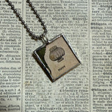 White poppy flower, vintage botanical illustration, upcycled to soldered glass pendant