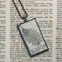 1 Fern - vintage natural history illustrations up-cycled to soldered glass pendant