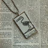 Skeleton of Ichthyornis bird vintage dictionary illustration, upcycled to soldered glass pendant