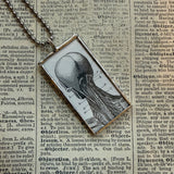 Human anatomy, vintage victorian woodcut illustrations, up-cycled to soldered glass pendant