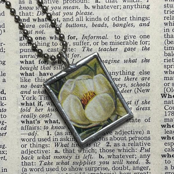 1 Magnolia blossom and seed pod, natural history botanical illustrations, up-cycled to soldered glass pendant