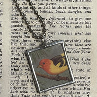 Blue Jay, Western tanager birds, vintage 1940s field guide book illustrations, upcycled to soldered glass pendant