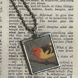 1 Blue Jay, Western tanager birds, vintage 1940s field guide book illustrations, upcycled to soldered glass pendant