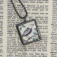 1 Red bird, white bird, vintage natural history illustrations, upcycled to soldered glass pendant