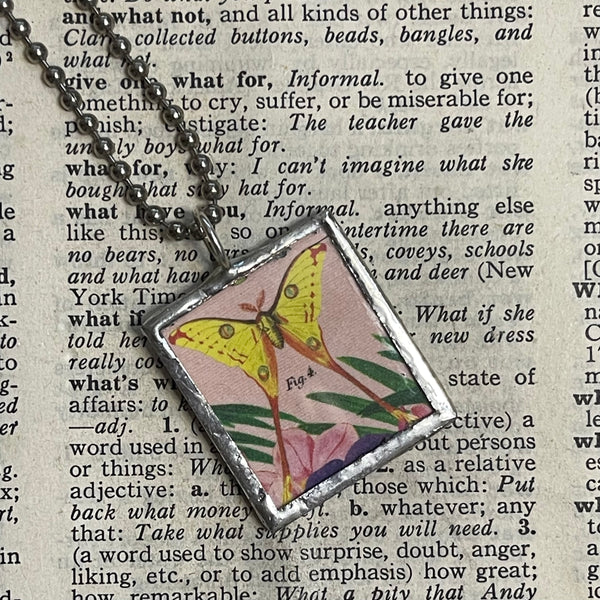 1 Butterfly and tropical birds, vintage illustrations, upcycled to soldered glass pendant