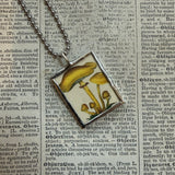 Mushroom and fungus, vintage natural history illustrations up-cycled to soldered glass pendant