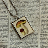 Mushroom and fungus, vintage natural history illustrations up-cycled to soldered glass pendant